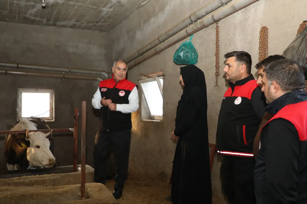 Elazığ’da Kadın Üreticinin Merinos Sürüsü 7 Yılda 10 Kat Büyüdü